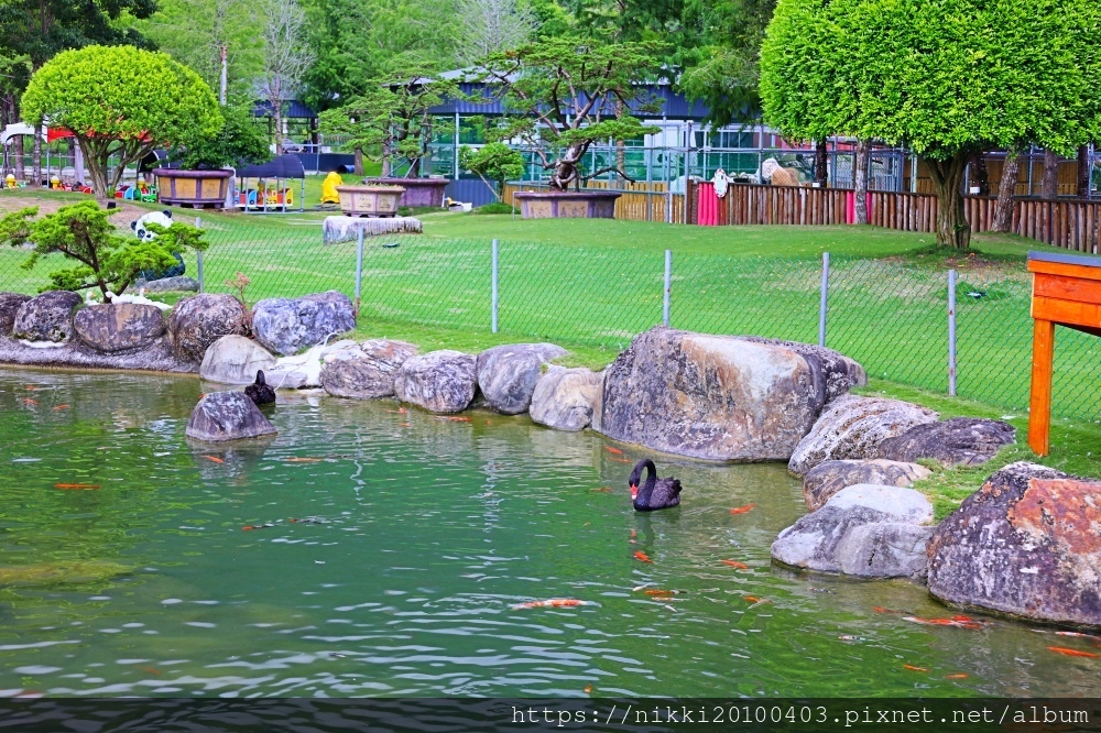 洄瀾灣景觀餐廳親子景點 (2).JPG