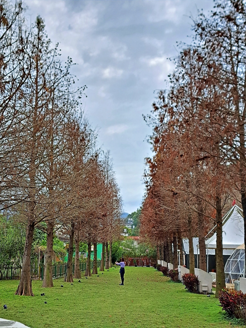 水与松森林莊園 (69).jpg