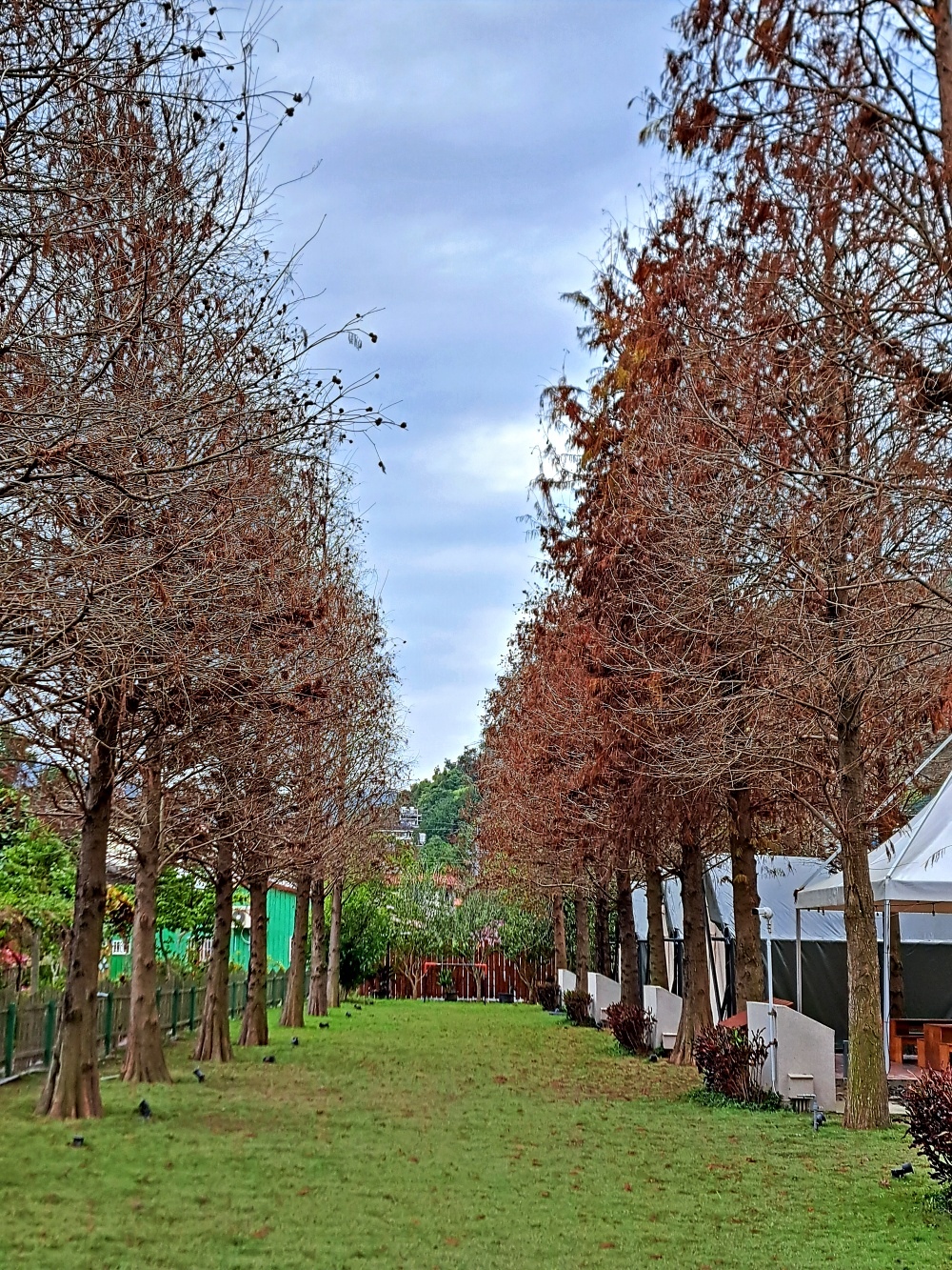 水与松森林莊園 (92).jpg