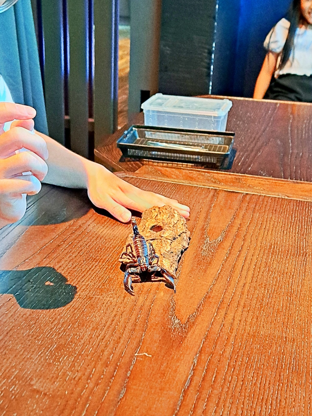 新竹伊普索酒店 周末兒童DIY 香氛瑜珈 輕食飲料吃到飽 在