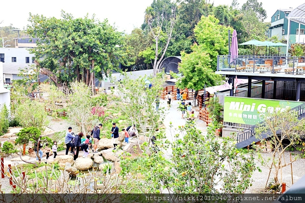 【南投一日遊】鹿芝谷生態園區 × 多肉DIY × 凍頂烏龍下