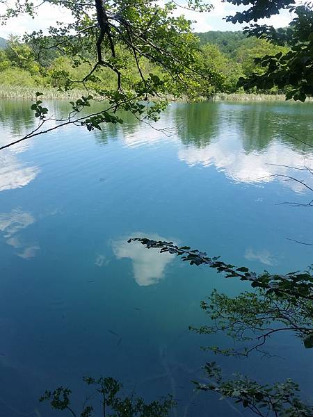 0530 4.十六湖公園上湖區12.jpg