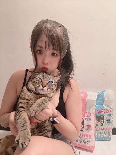 女人知己,女人知己試用大隊,試用大隊,PurreLand 倍淨豆腐貓砂,PurreLand 倍淨,豆腐貓砂,貓砂