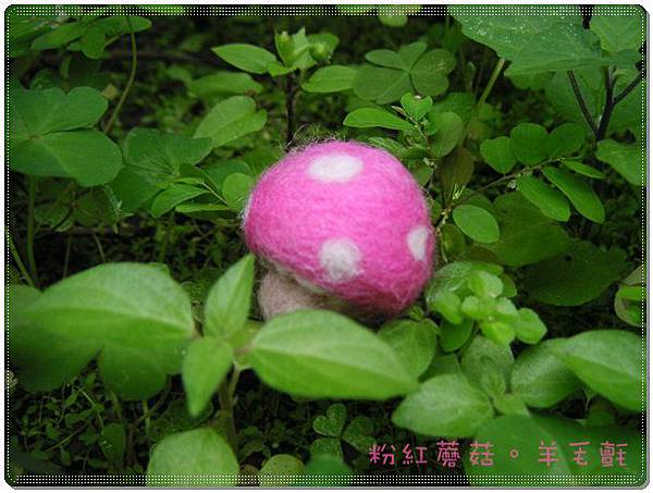 粉紅蘑菇-羊毛氈.JPG