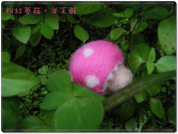 粉紅蘑菇-羊毛氈-1.JPG