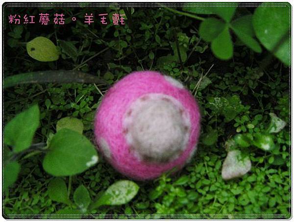粉紅蘑菇-羊毛氈-2.JPG