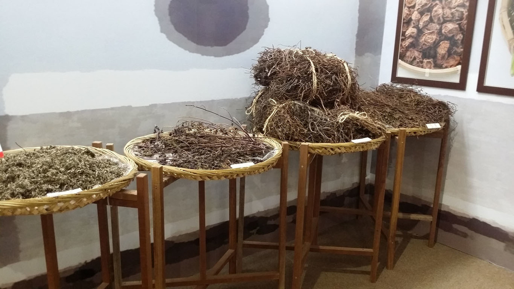 20150613_114412.jpg 20150613_114412.jpg