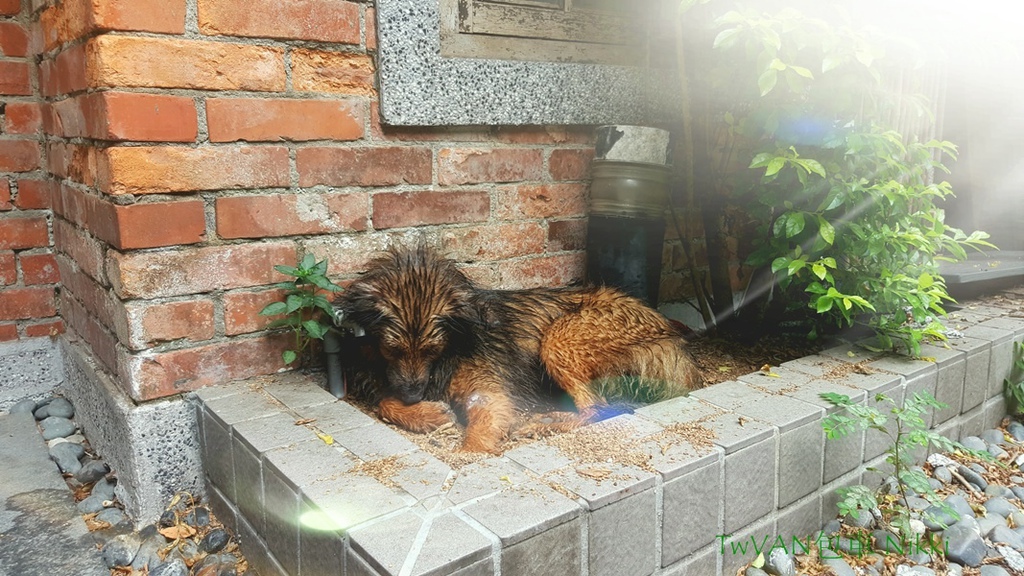 20160903_213541.jpg 20160903_213541.jpg