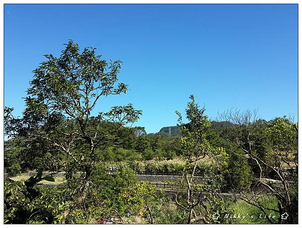 貓空.動物園20161113_(44).jpg