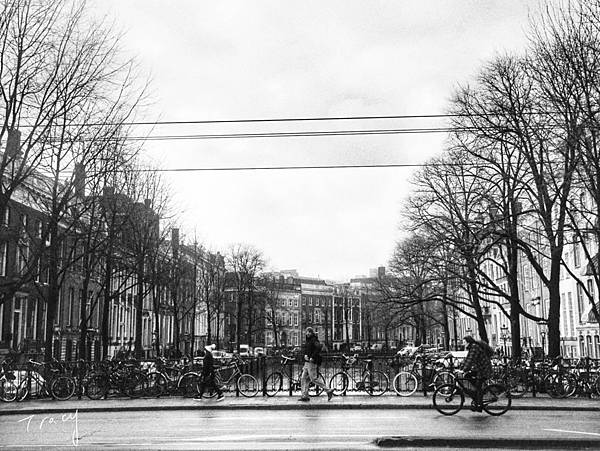 IMG_1179.JPG IMG_1179.JPG