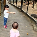 DSC08769.JPG