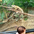 DSC08772.JPG