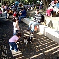 DSC05690.JPG
