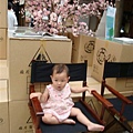 DSC07509.JPG