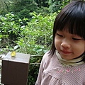 DSC09185.JPG