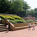 DSC08611.JPG