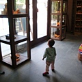 DSC08994.JPG