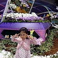 DSC09633.JPG