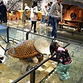 DSC09071.JPG