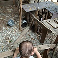 DSC08070.JPG