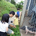 DSC00014.JPG