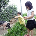 DSC00015.JPG