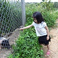 DSC00018.JPG