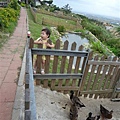 DSC00019.JPG