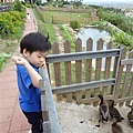 DSC00020.JPG
