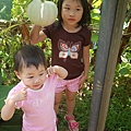 DSC_1197.JPG