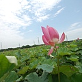 DSC_1219.JPG