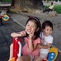 DSC00115 (479x640).jpg