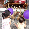 DSC00154 (640x450).jpg