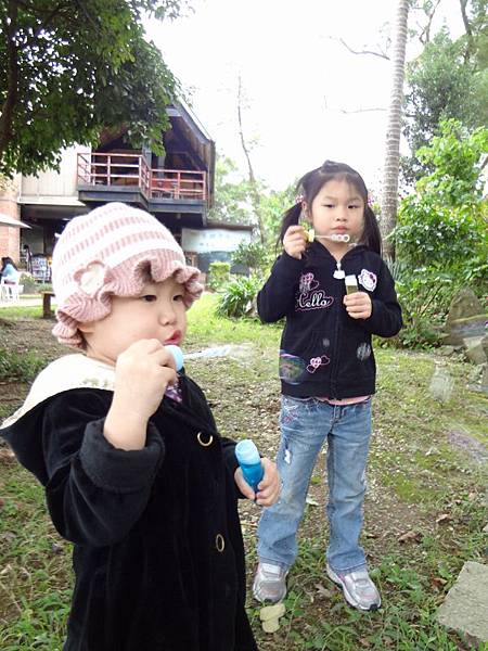 DSC00520 (600x800).jpg