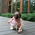 DSC07528.JPG