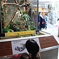 DSC06203.JPG