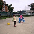 DSC08674.JPG
