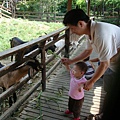 DSC08294.JPG