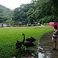 DSC07955.JPG