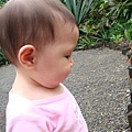 DSC07931.JPG