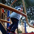 DSC09566.JPG