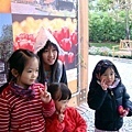 DSC09684.JPG
