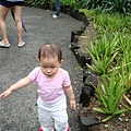 DSC07928.JPG