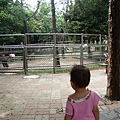 DSC08765.JPG