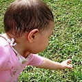 DSC08625.JPG