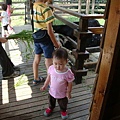 DSC08301.JPG