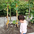 DSC06532.JPG
