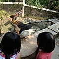 DSC08071.JPG