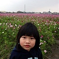 DSC05420.JPG