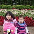 DSC09429.JPG